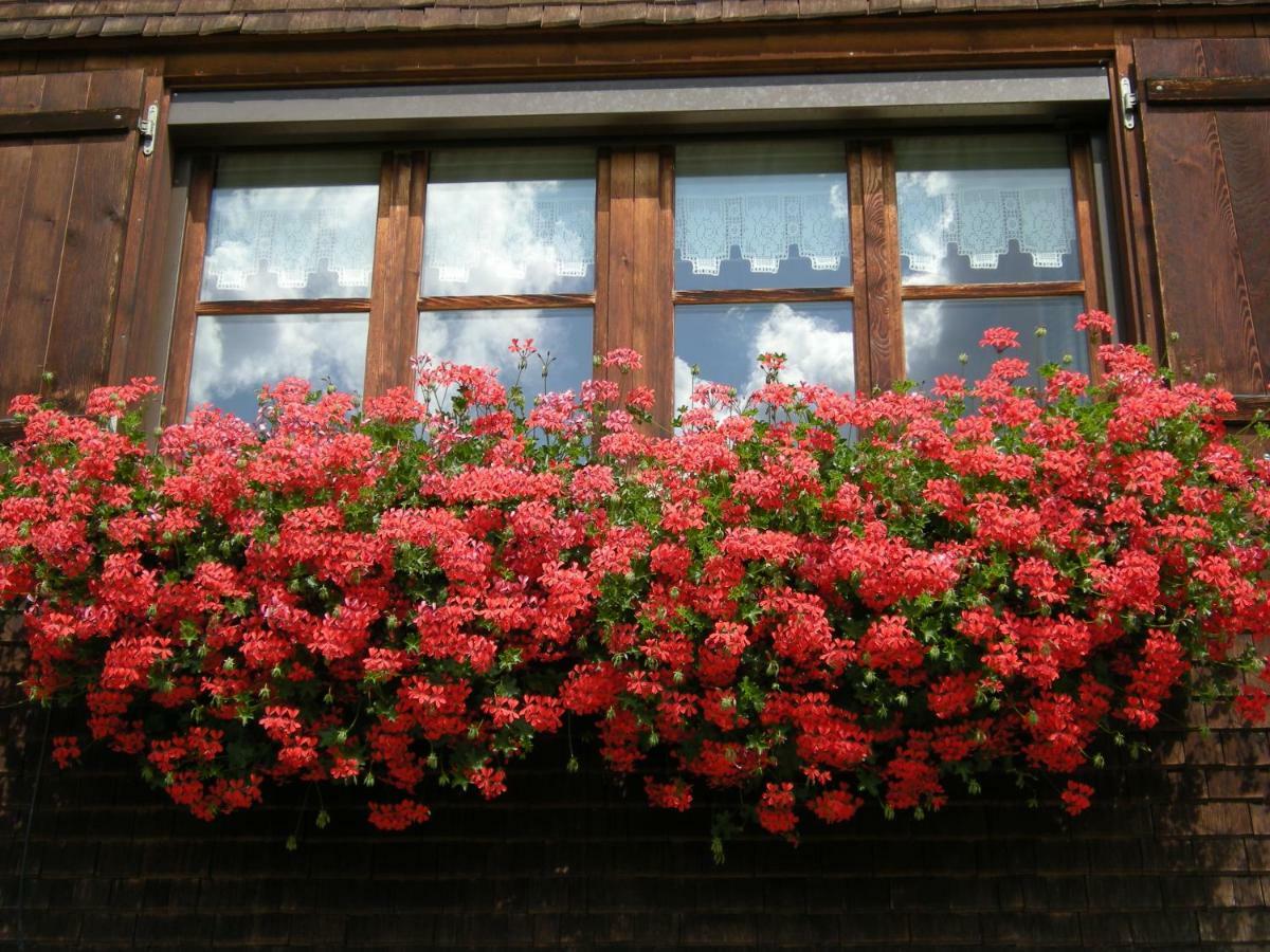 Appartements Karin Mitten Im Gruenen Schoppernau Exteriér fotografie