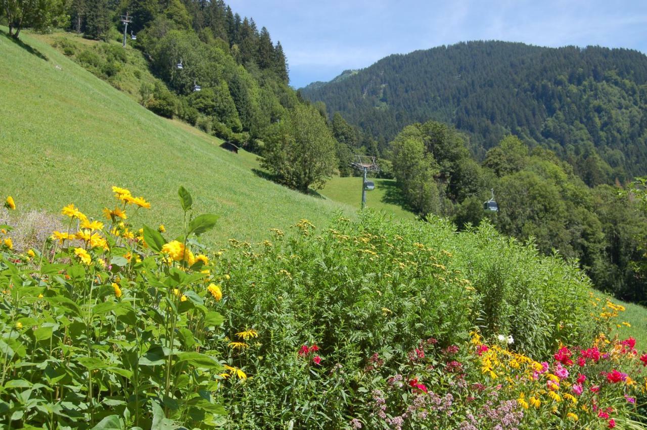 Appartements Karin Mitten Im Gruenen Schoppernau Exteriér fotografie